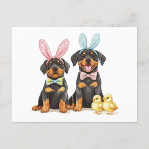 Easter Rottweiler Dogs Bunny Ears Holiday Postcard