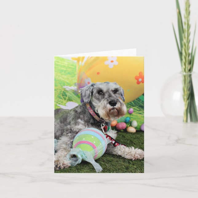 Easter - Schnauzer - Fergie Holiday Card (Front)