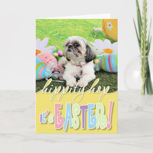 Easter - Shih Tzu - Sophie Holiday Card (Front)