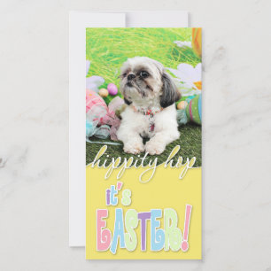 Easter - Shih Tzu - Sophie Holiday Card