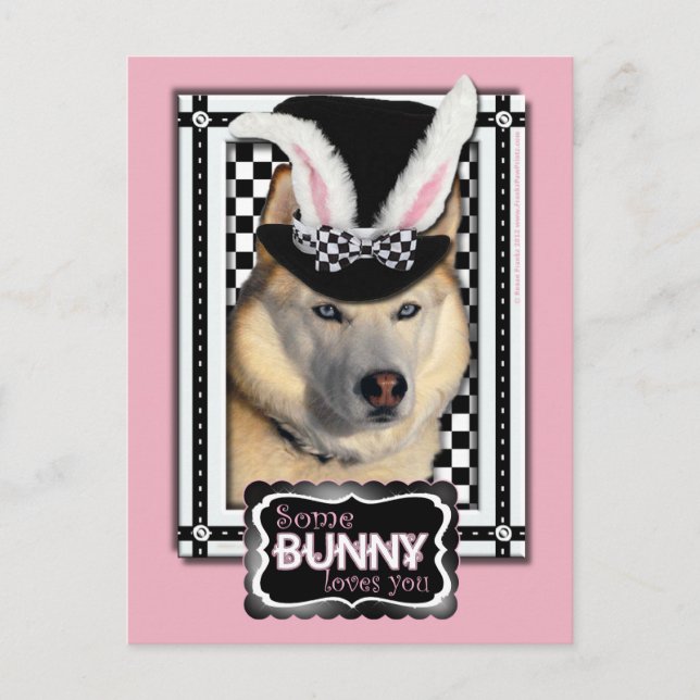Easter - Some Bunny Loves You - Husky Holiday Postcard (Front)