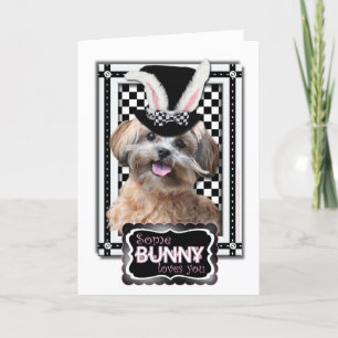 Easter - Some Bunny Loves You - ShihPoo Holiday Card