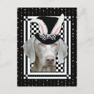 Easter - Some Bunny Loves You - Weimaraner Holiday Postcard