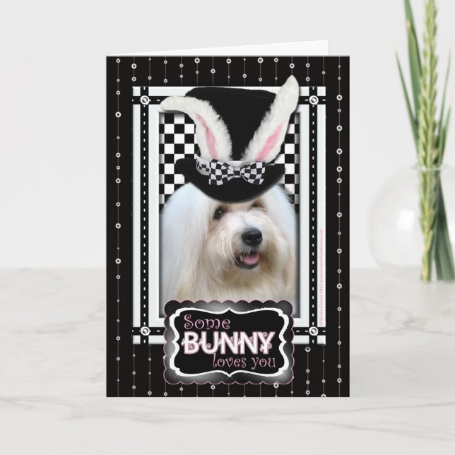 Easter - Some Bunny Loves YouCoton deTulear Holiday Card (Front)