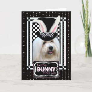 Easter - Some Bunny Loves YouCoton deTulear Holiday Card