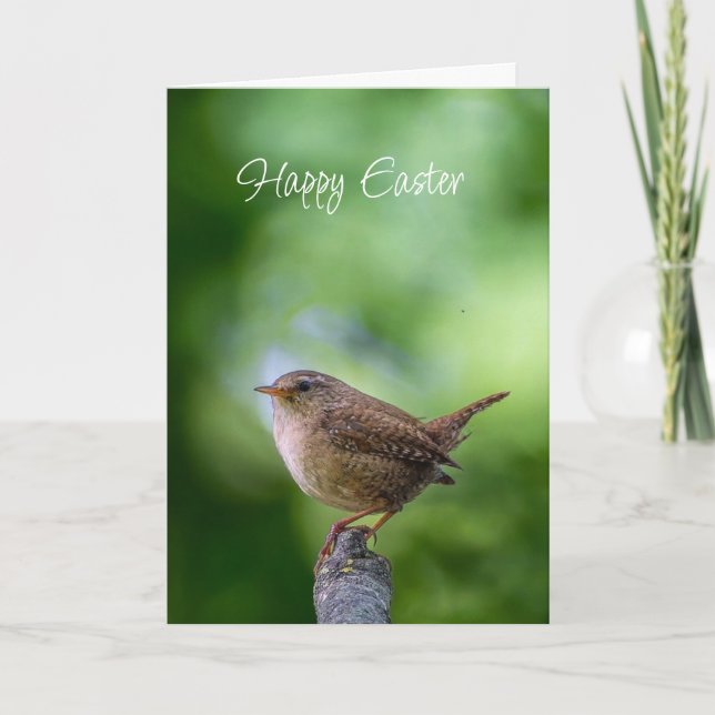 Easter Spring Wren Bird Joy Happiness Wishes Holiday Card (Front)