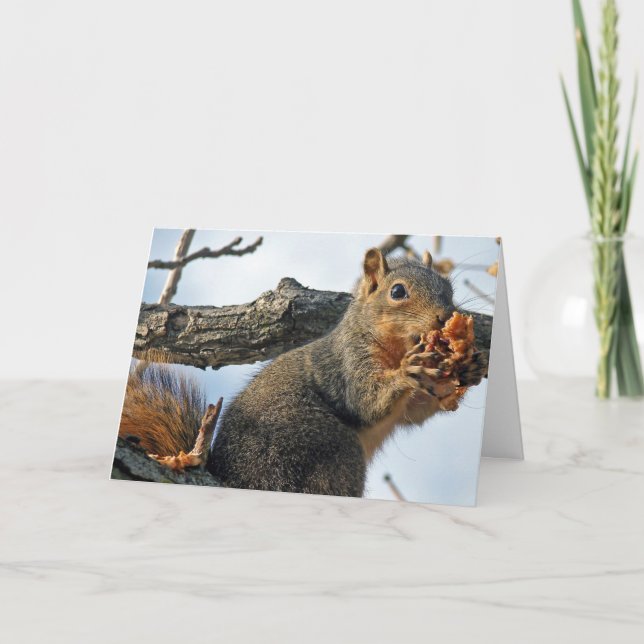 Easter Squirrel Holiday Card (Front)