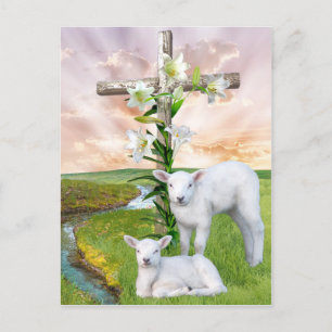 Easter Sunrise Postcard