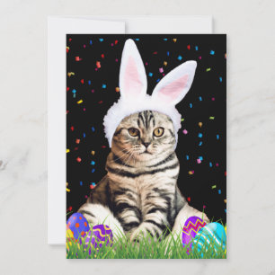 Easter Tabby Cat Holiday Card