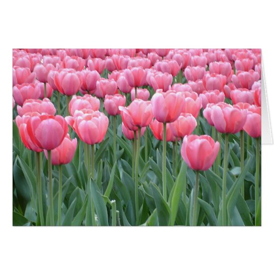 Easter Tulips Card