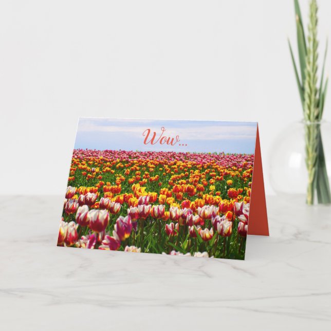 Easter, tulips, flowers, colourful, funny card (Front)
