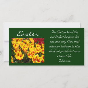 Easter Tulips Photocards Bible Scripture John 3:16 Holiday Card