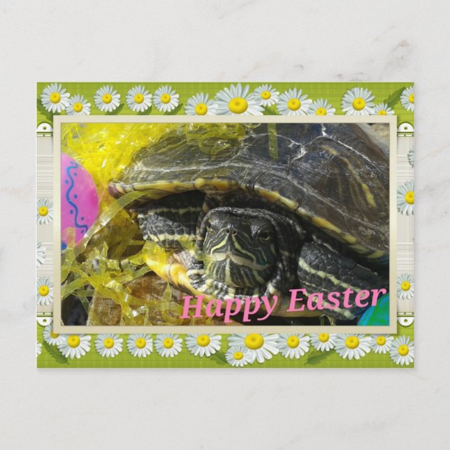 Easter Turtle Flower Border Digital Art Holiday Postcard (Front)