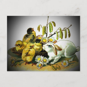 Easter Vintage Bunnies and Coloured Eggs Postcard