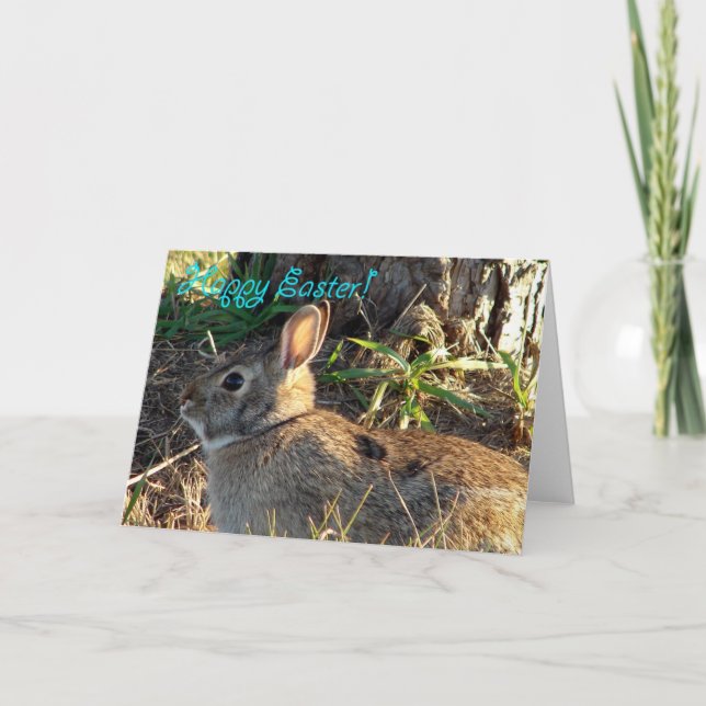 Easter Wild Rabbit Holiday Card (Front)
