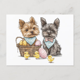 Easter Yorkshire Terrier Dogs Holiday Postcard