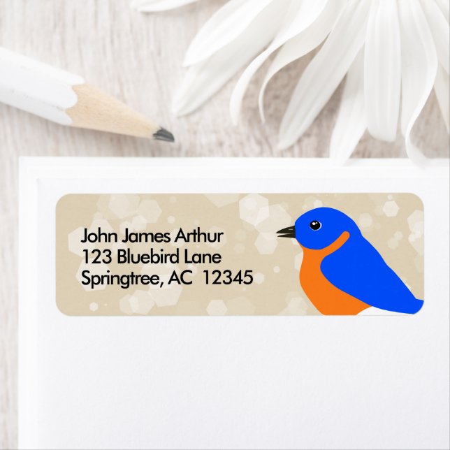 Eastern Bluebird (Insitu)