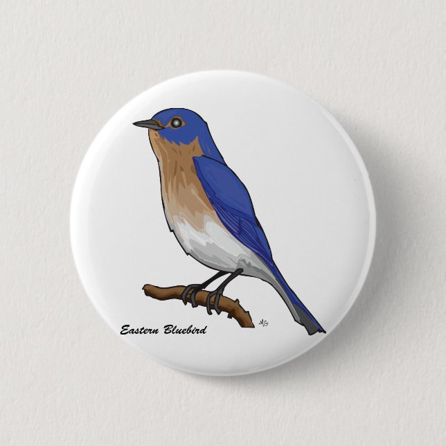 EASTERN BLUEBIRD 2 INCH ROUND BUTTON (Front)