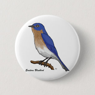 EASTERN BLUEBIRD 2 INCH ROUND BUTTON