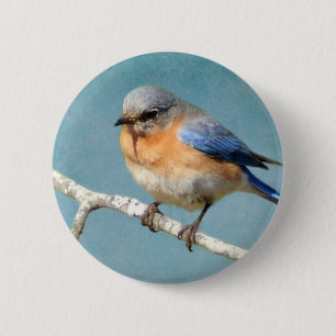 Eastern Bluebird 2 Inch Round Button