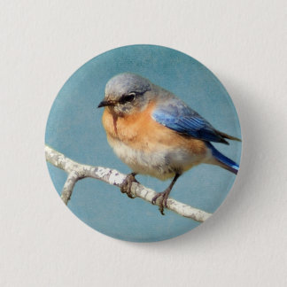 Eastern Bluebird 2 Inch Round Button