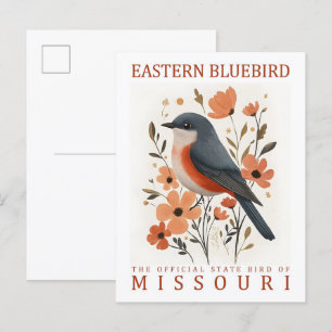 Eastern Bluebird Bird of Missouri USA Travel Postcard