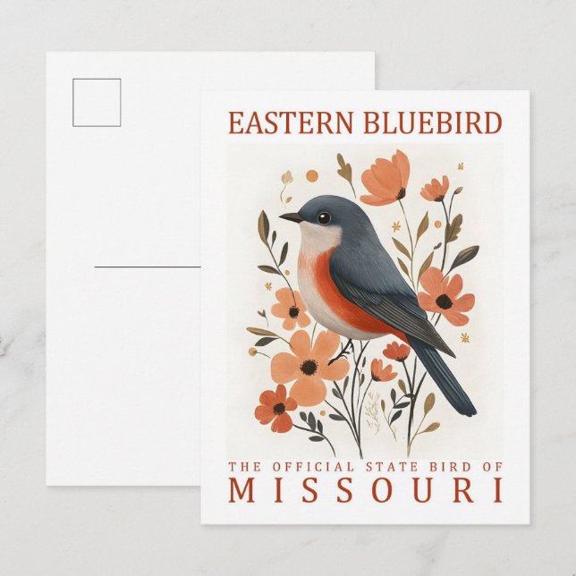 Eastern Bluebird Bird of Missouri USA Travel Postcard (Front/Back)