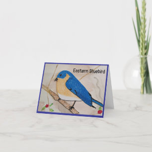 Eastern Bluebird Blank Greeting Card