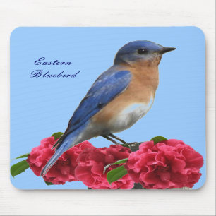Eastern Bluebird Camellia Mousepad