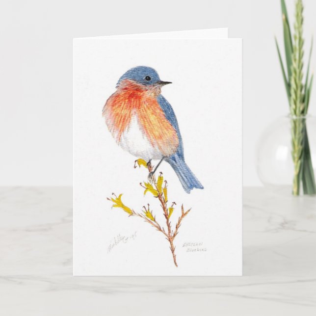 eastern bluebird card (Front)