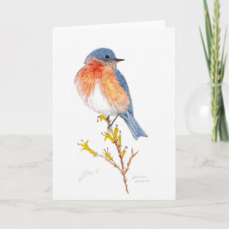 eastern bluebird card
