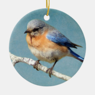 Eastern Bluebird Ceramic Ornament