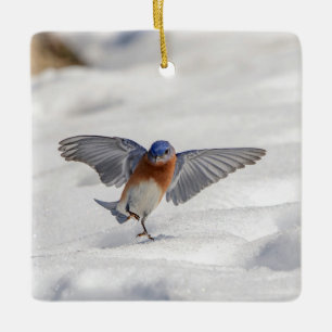 Eastern Bluebird dancing in the snow Ceramic Ornament