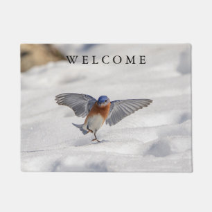 Eastern Bluebird dancing in the snow Doormat