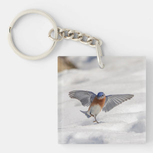 Eastern Bluebird dancing in the snow Keychain