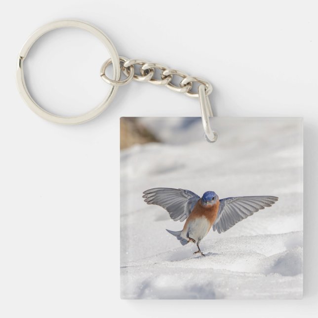 Eastern Bluebird dancing in the snow Keychain (Front)