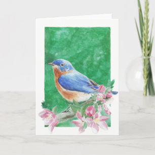 Eastern Bluebird Greeting Card