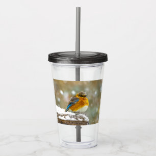 Eastern Bluebird in Snow - Original Photograph Acrylic Tumbler