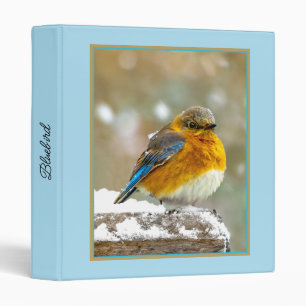 Eastern Bluebird in Snow - Original Photograph Binder