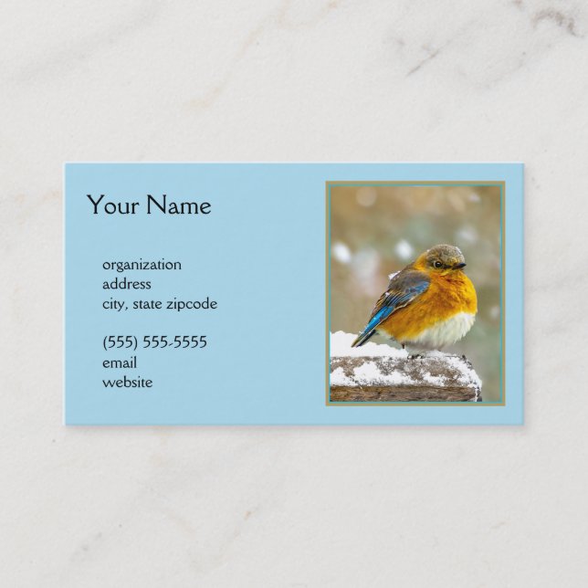Eastern Bluebird in Snow - Original Photograph Business Card (Front)
