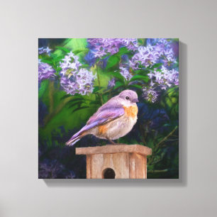 Eastern Bluebird in Snow - Original Photograph Canvas Print