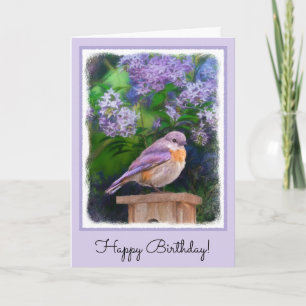Eastern Bluebird in Snow - Original Photograph Card