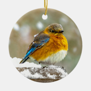 Eastern Bluebird in Snow - Original Photograph Ceramic Ornament