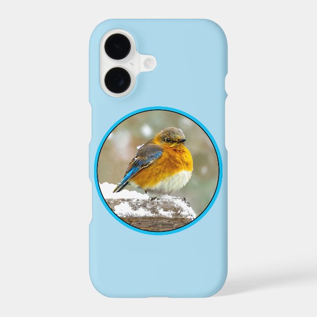 Eastern Bluebird in Snow - Original Photograph iPhone Case (Back)