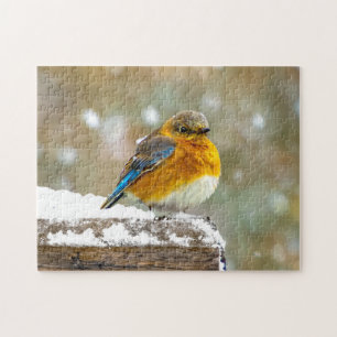 Eastern Bluebird in Snow - Original Photograph Jigsaw Puzzle