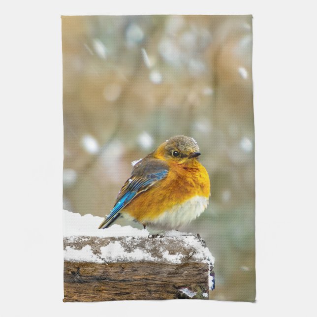 Eastern Bluebird in Snow - Original Photograph Kitchen Towel (Vertical)