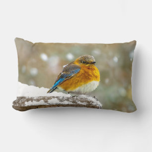 Eastern Bluebird in Snow - Original Photograph Lumbar Pillow