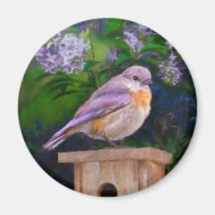 Eastern Bluebird in Snow - Original Photograph Magnet