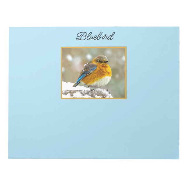 Eastern Bluebird in Snow - Original Photograph Notepad (Front)