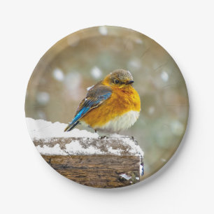 Eastern Bluebird in Snow - Original Photograph Paper Plate